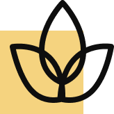 We Pay Attention To Detail